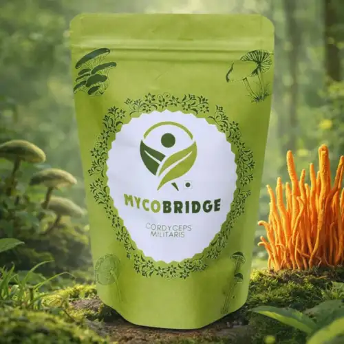 Lab Grown Cordyceps Milliteries
